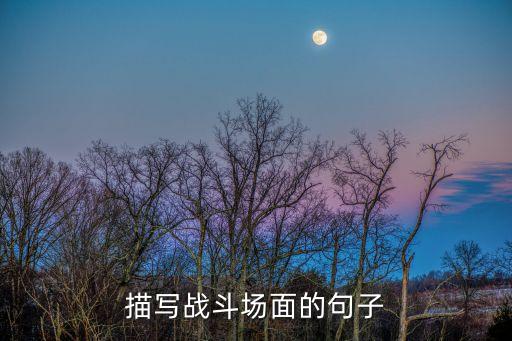 打斗場面描寫，描寫戰斗場面的句子