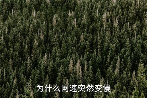 為什么網速突然變慢
