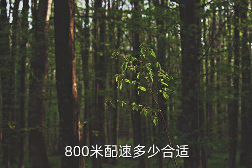  800米配速多少合適
