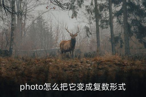 photo怎么把它變成復數形式