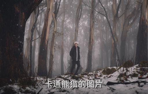 卡通熊貓的圖片