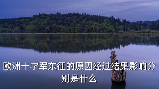 十字軍東征，什么是十字軍東征要塞游戲