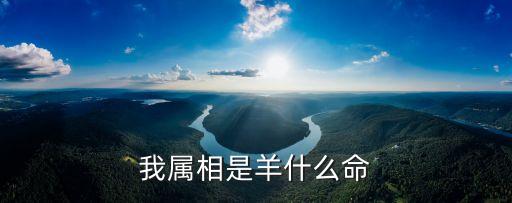 我屬相是羊什么命