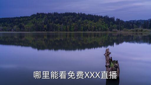 哪里能看免費XXX直播