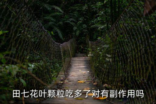 田七花葉顆粒吃多了對有副作用嗎