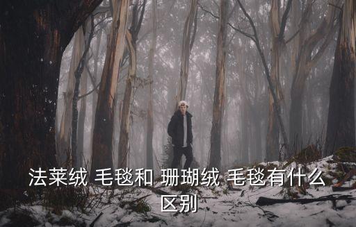 法萊絨 毛毯和 珊瑚絨 毛毯有什么區別