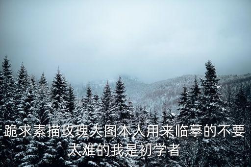 跪求素描玫瑰大圖本人用來臨摹的不要太難的我是初學者