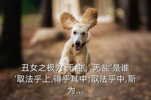 貌似無鹽,貌似無鹽齊國無鹽女怎么看?