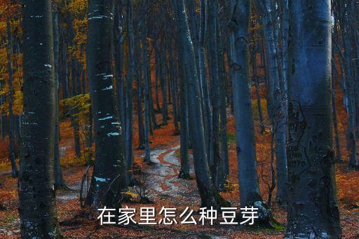 在家里怎么種豆芽