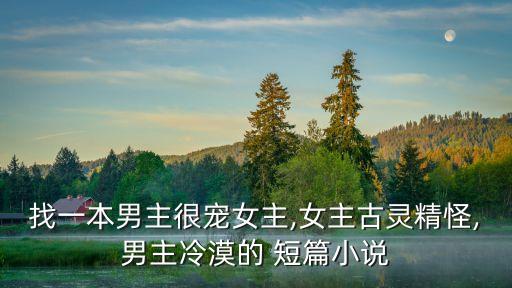 找一本男主很寵女主,女主古靈精怪,男主冷漠的 短篇小說