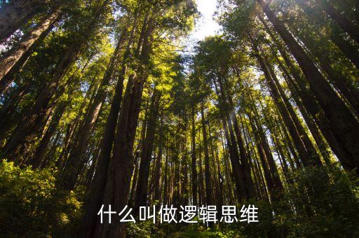 什么叫做邏輯思維