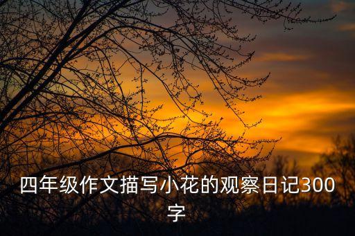 四年級的觀察日記，四年級作文描寫小花的觀察日記300字