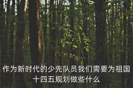 作為新時代的少先隊員我們需要為祖國十四五規劃做些什么