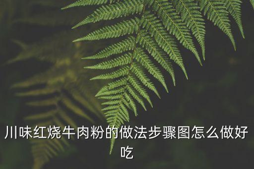 川味紅燒牛肉粉的做法步驟圖怎么做好吃