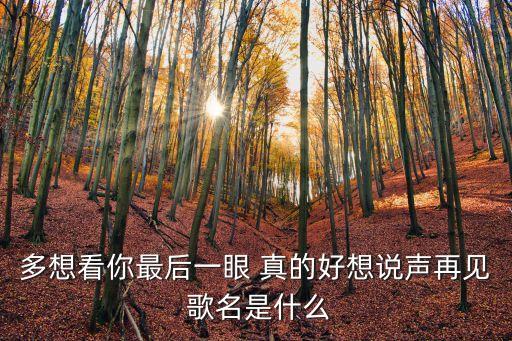 多想看你最后一眼 真的好想說聲再見 歌名是什么