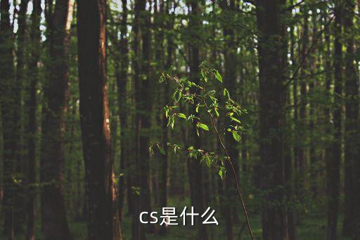 cs，cs是什么