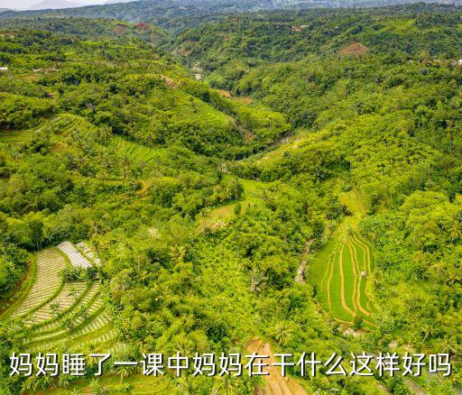 媽媽睡了課件，媽媽睡了一課中媽媽在干什么這樣好嗎