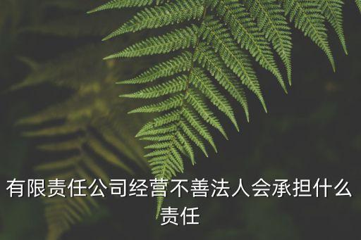 有限責任公司經營不善法人會承擔什么責任