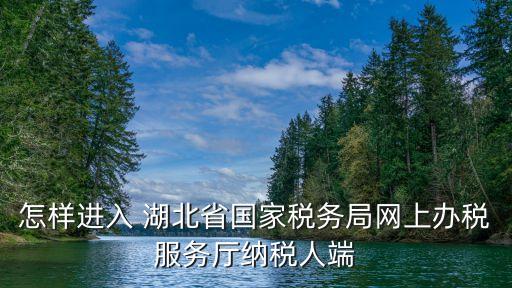 湖北省國稅,國稅system系統介紹: