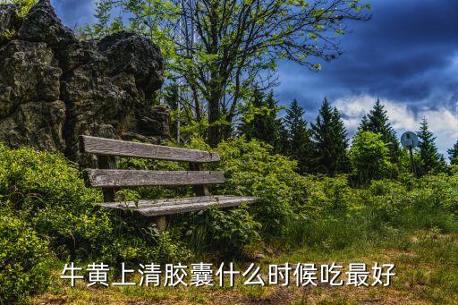 牛黃上清膠囊什么時候吃最好