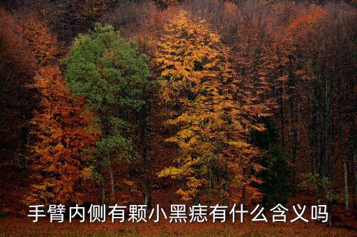 手臂內側有顆小黑痣有什么含義嗎