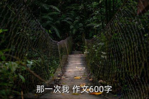 那一次我 作文600字