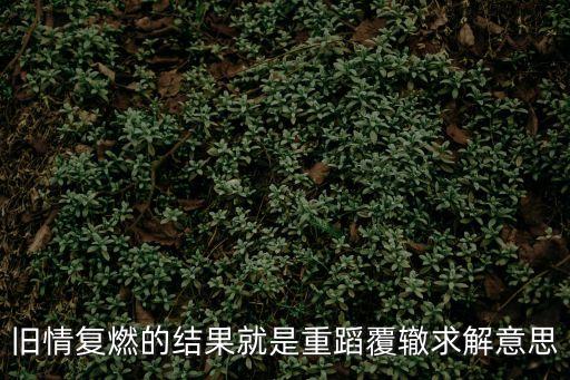 重蹈覆轍的意思，舊情復(fù)燃的結(jié)果就是重蹈覆轍求解意思