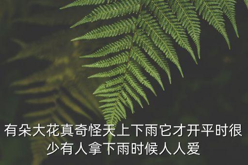 雨傘花，有朵大花真奇怪天上下雨它才開平時很少有人拿下雨時候人人愛