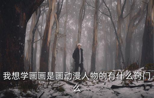 我想學(xué)畫畫是畫動(dòng)漫人物的有什么竅門么