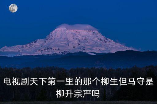 電視劇天下第一里的那個柳生但馬守是柳升宗嚴嗎