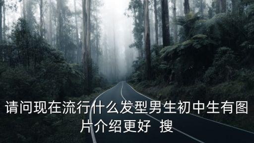 初中生圖片，求5張初中男生 照片 必須是 同一個人 帥點的