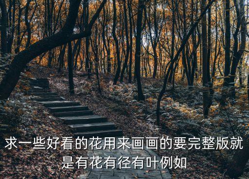 花畫圖片大全，各種花圖和名稱