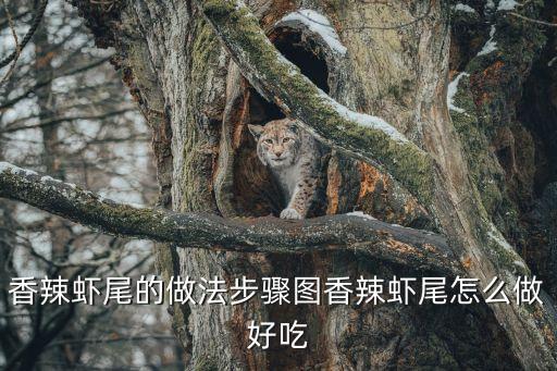 香辣蝦尾的做法步驟圖香辣蝦尾怎么做好吃