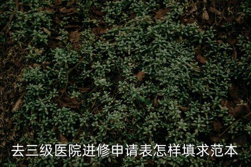進(jìn)修申請(qǐng)書，怎么寫醫(yī)生進(jìn)修申請(qǐng)書