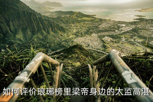 瑯琊榜高湛，如何評價瑯琊榜里梁帝身邊的太監高湛