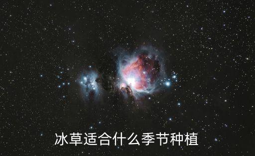 冰草適合什么季節種植