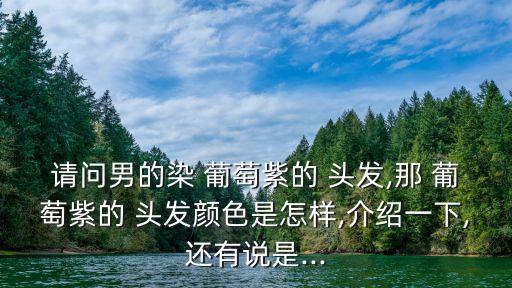 請問男的染 葡萄紫的 頭發,那 葡萄紫的 頭發顏色是怎樣,介紹一下,還有說是...