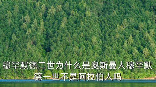 穆罕默德二世為什么是奧斯曼人穆罕默德一世不是阿拉伯人嗎