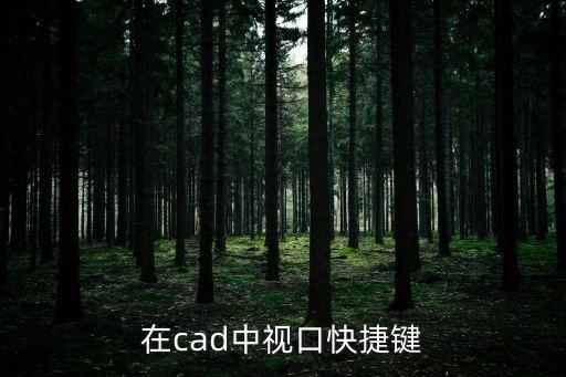 cad視口，在cad中視口快捷鍵
