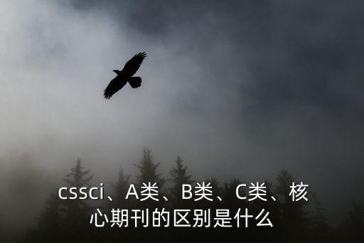 cssci檢索,我國共有七大核心期刊體系其中四大被認可
