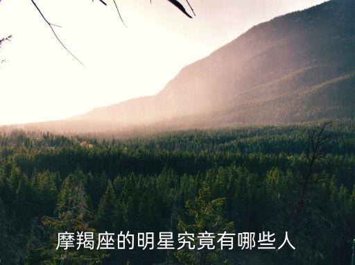 摩羯座男明星，摩羯座的明星究竟有哪些人