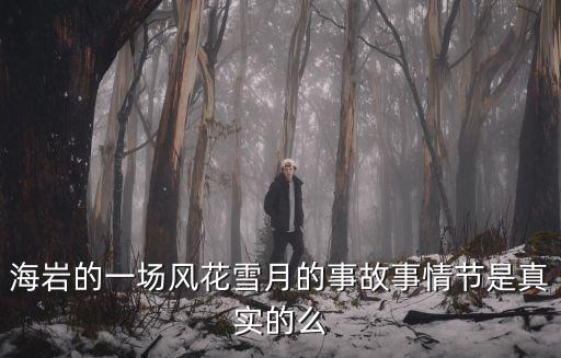 海巖的一場風花雪月的事故事情節是真實的么
