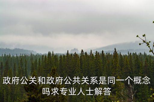 政府公關和政府公共關系是同一個概念嗎求專業人士解答