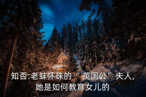英國公,英國皇帝用話安慰老臣為了讓張家保命
