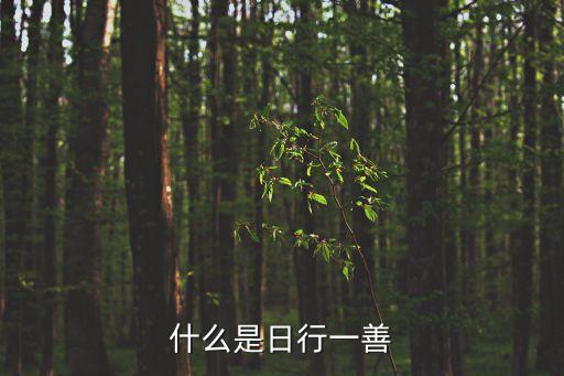 什么是日行一善