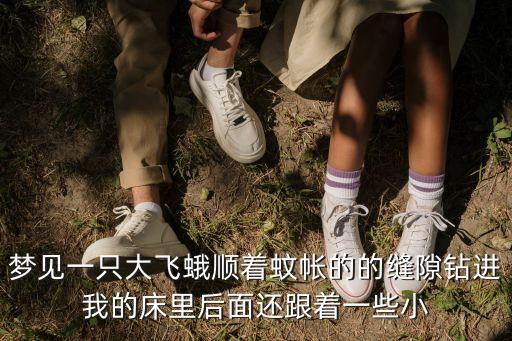夢見飛蛾，夢見房間有小飛蛾什么意思