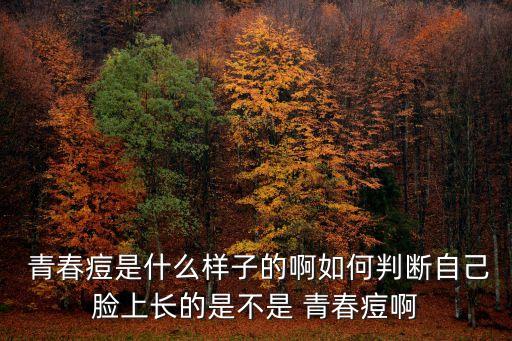 痤瘡是青春痘嗎,如何判斷臉上是否有青春痘?