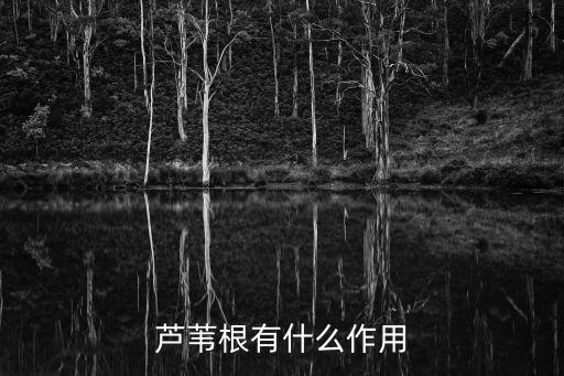 蘆葦根的功效與作用，蘆葦根有什么作用