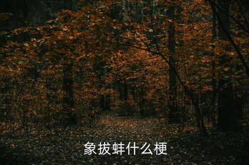 象拔蚌是什么,我們玩吧象拔蛤蜊這兩句廣為人知的廣東菜