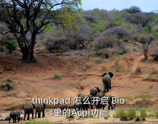 thinkpad 怎么開啟 Bios里的Acpi功能